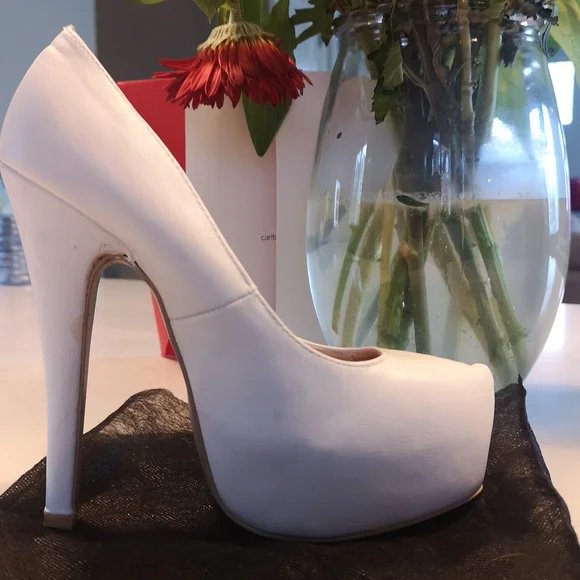 Pumps - Picture 4 of 7